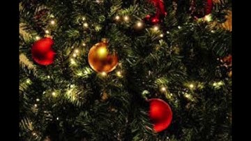 12/3 - Advent Devotion - SJBC