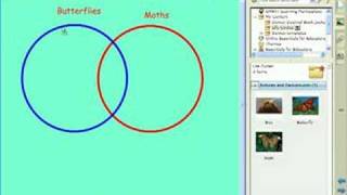 SMART Notebook Software - Creating Your Own Gallery