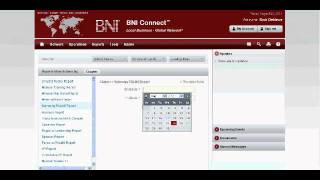BNI VP Print Summary PALMS Report from BNI Connect
