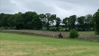 Farnley Tyas 2.0 Equ Madalane