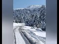قد اشرق نورا في قلبي قد اشرق نورا في قلبي