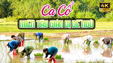 Vừa Nằm Vừa Nghe Ca Cổ Miền Tây Hơi Dài Dễ Ngủ - Ca Cổ Cải Lương Xưa Ru Ngủ Hay Nhất🌾Tân Cổ Dân Ca