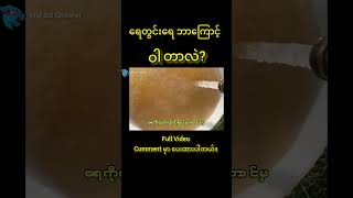 ရေတွင်းရေ ဝါတာဘာကြောင့်လဲ? #mmscichannel #ရေတွင်း