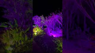 Naples Botanical Garden Florida  shorts travel naples florida trendingshorts