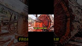 Inside the Giant Wood Factory - How Earth's Largest Trees Become Luxury Furniture (Full Process
