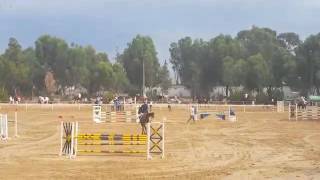 Idriss Avec Idefix 110Cm