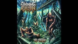 Catastrophic Evolution - Continuous Disappointment