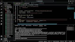 Robot Framework XI: UI Testing, Selenium Library, Locators, Screenshots