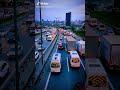 قلبي طير ومذبح 
