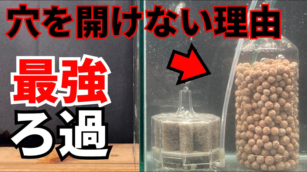 泡の出が違う！大型水槽に威力を発揮。大好評！フィッシュレット大改造 maxresdefault.jpg