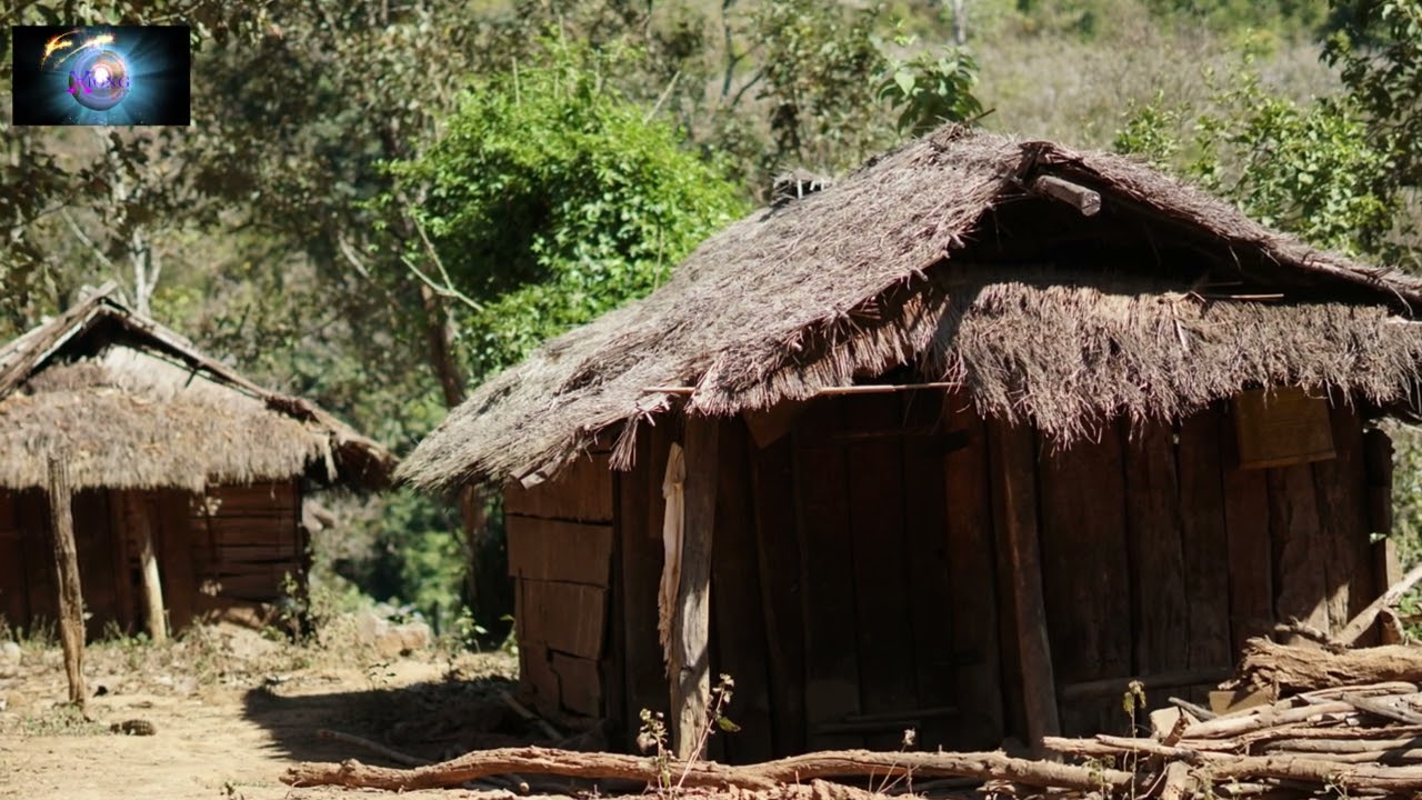 khu tuag ua dab txaus ntshai heev January 12, 2025