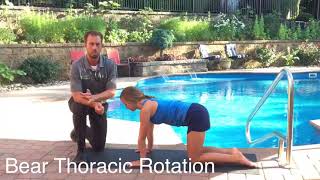 Bear position, thoracic rotation
