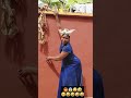 where do I go from here #funny #comedy #fypシ #viral