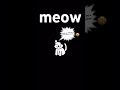 meow meow kitty #cat #meow