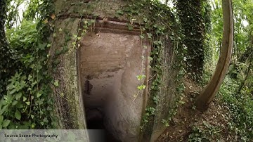 Non Invasive Scene Reconstruction with Photogrammetry