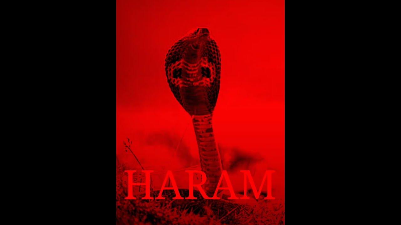 is-snake-halal-or-haram-to-eat-in-islam-youtube