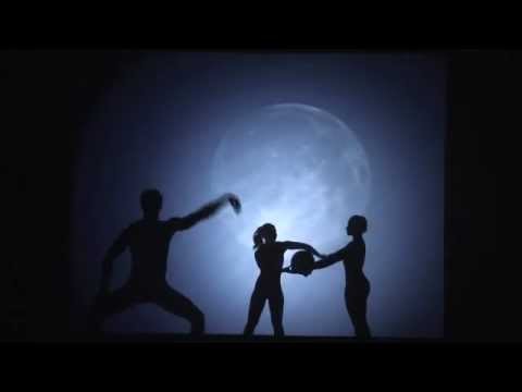 Evolve International Silhouette Show