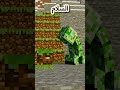 من هو ابو بلوكة Minecraft ماين كرافت مشاهير Shorts ميمز Memes انميشن Vial Short Trend 