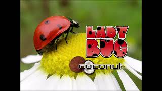 Download Lagu Ladybug (Full Version) / Coconut MP3