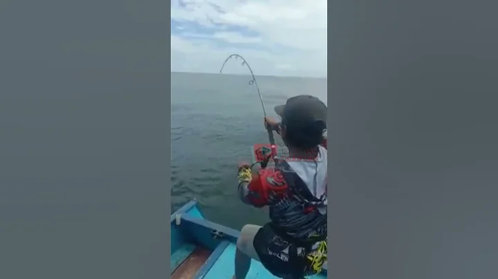 SEA FISHING || Giant traveli's ferocity makes one run out of breath