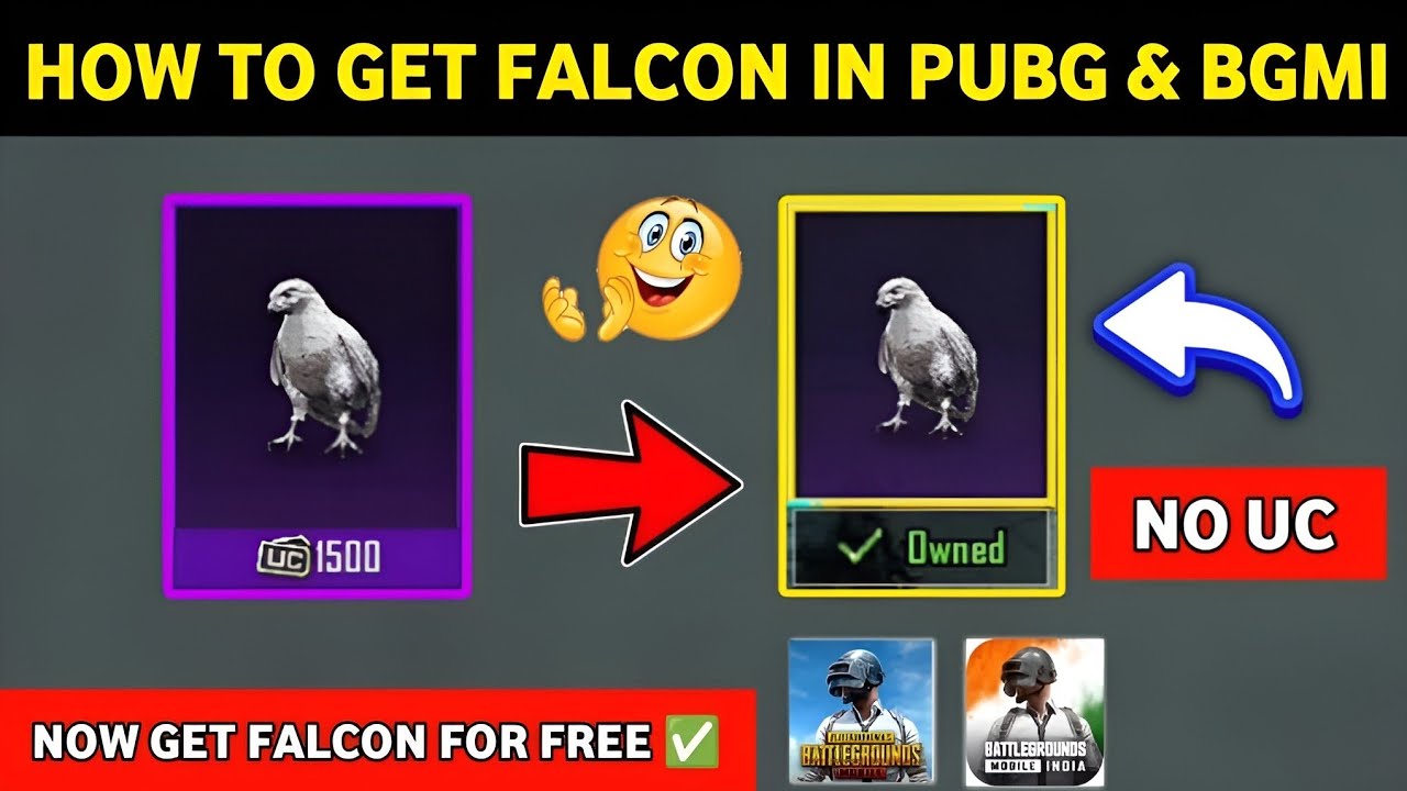 ✅How to Get Falcon in PUBG Mobile For Free🔥How to get Falcon in Pubg Mobile & Bgmi🔥falcon companion