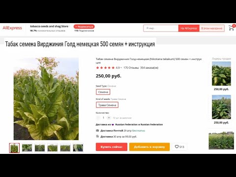 Табак семена Вирджиния Голд немецкая 500 семян + инструкция