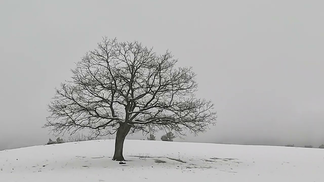 KARDA KIŞTA PEHLİVANLAR DİYARI ÇAKALLARDA Mustafakemalpaşa Bursa
