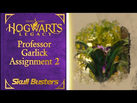 Hogwarts Legacy - Professor Garlick's Assignment 2 Walkthrough (Hogwarts Professor Garlick's 02)