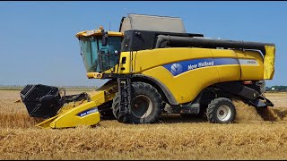 Irina Zomergerst Combinen Bij Prins Crop Farming Pieterburen.film Jan Rijpma