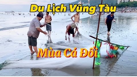 Du Lịch Vũng Tàu - Tận Mắt Xem Ngư Dân Kéo Cá Trên Biển @hothuofficial7340