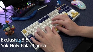 Exclusive E8.5 Keyboard + Yok Holy Polar Panda 65g ASMR Typing Test.