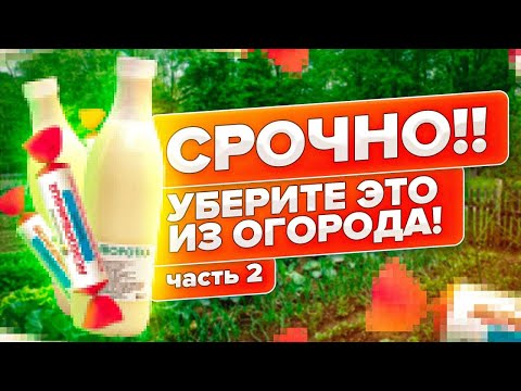 ОТВЕЧАЕМ НА ВОПРОСЫ.