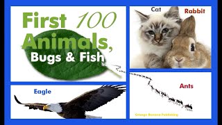 Kids First 100 Animals: A Kids Life Video in 4K by Video Rover 180 views 4 months ago 46 minutes