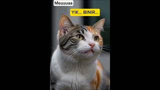 sibitkin.tigi nimi hiwin pimikin diging?🤔 #shorts