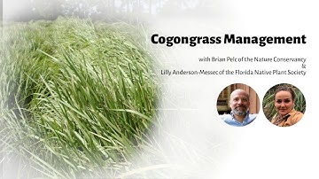 Cogongrass Management with Brian Pelc and Lilly Anderson-Messec