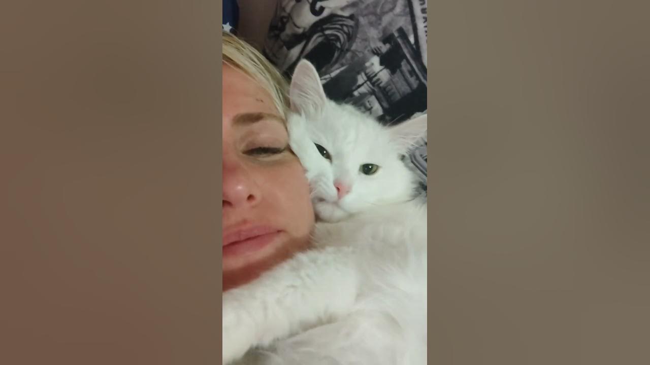 моя белая и пушистая радость 💕💕💕 - YouTube