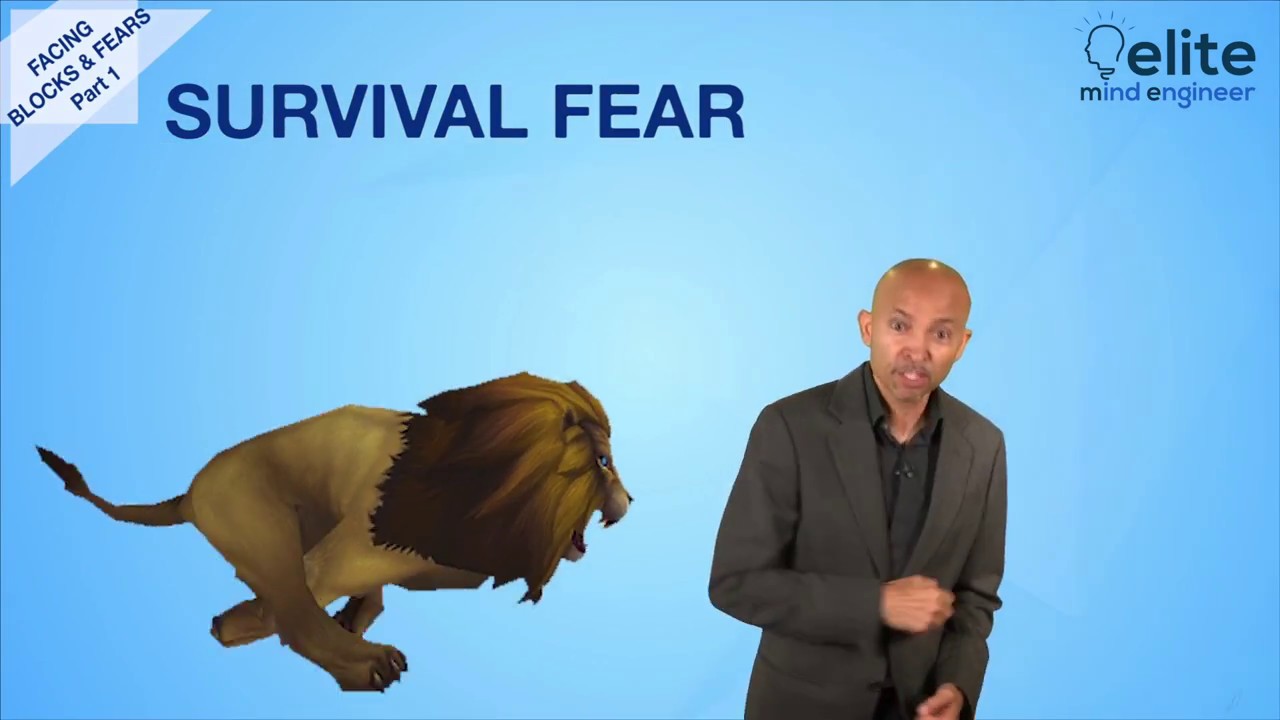 Learn to Face Your Fear(s) in 4 Easy Steps | Elite Mind Engineer