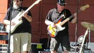 Blues Brothers Next Generation How Blue Can You Get