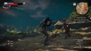 Witcher 3  Temerian Valuables