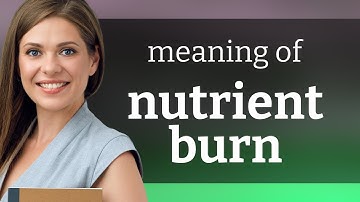 Understanding "Nutrient Burn": A Guide for English Language Learners