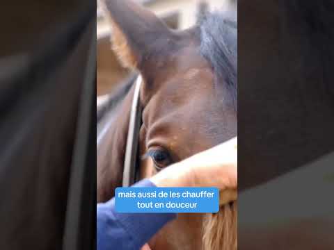 Pourquoi il faut toujours échauffer le dos de votre cheval avant de monter en hiver #horse #cheval