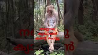 ചിന്തയാണ് മെയിൻ 😂#babifreitas #youtubeshorts #adiasmr