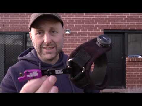 Spot Hogg - Wise Guy - Nylon - Sangle à boucle