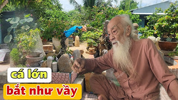 Thầy Rắn Ông Tư Đền Kể Chuyện Dùng Sà Di Và Côn Bắt Cá Mùa Nước Nổi Cặp Biên Giới Campuchia
