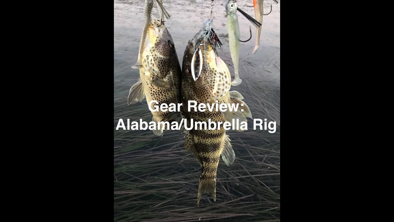 Gear Review: Alabama/Umbrella Rig