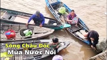 Chợ Châu Đốc Mùa Nước Nổi 2025 - Bún Cá Châu Đốc Trên Sông