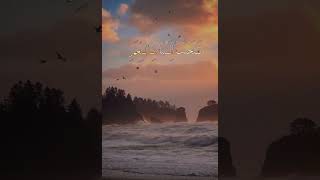 دعاء أبي حمزة الثمالي القارئ سيد مصطفى الموسوي