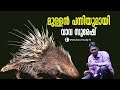 Wow! Porcupine released in the forest | Vava Suresh | Snakemaster