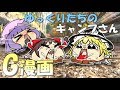【ゆっくりG漫画】ゆっくりたちのキャンプさん