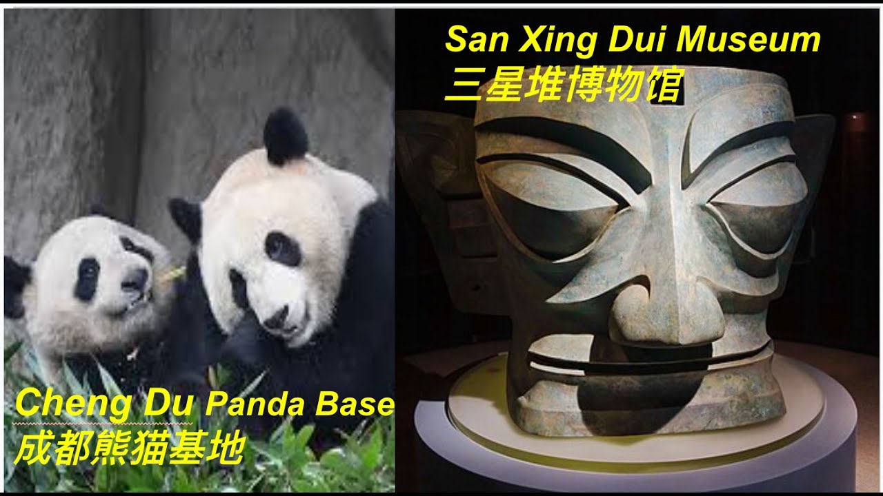 Chengdu Panda Base and San Xing Dui Museum, Sichuan, 成都大熊猫繁育研究基地, 三星堆博物馆